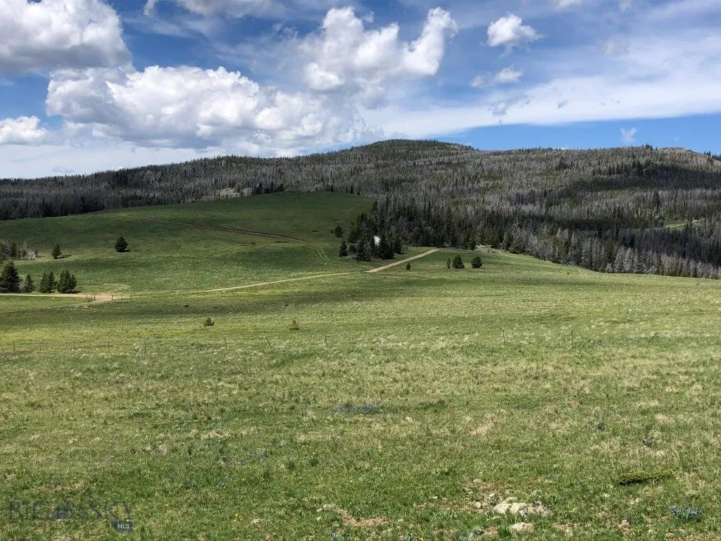 Tbd Indian Creek Road, Townsend, Montana 59604, Townsend, Montana 59604, ,Land,For Sale,Tbd Indian Creek Road, Townsend, Montana 59604,0,406164