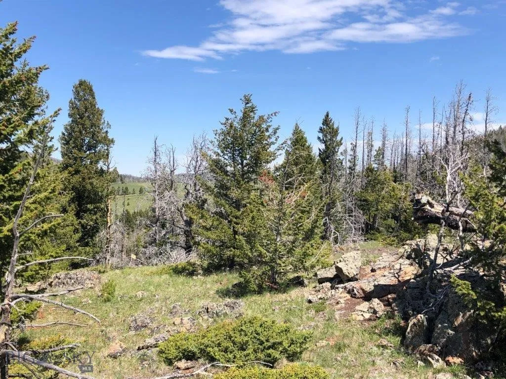 Tbd Indian Creek Road, Townsend, Montana 59604, Townsend, Montana 59604, ,Land,For Sale,Tbd Indian Creek Road, Townsend, Montana 59604,0,406164