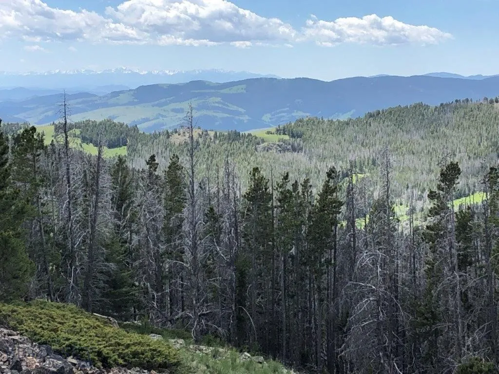 Tbd Indian Creek Road, Townsend, Montana 59604, Townsend, Montana 59604, ,Land,For Sale,Tbd Indian Creek Road, Townsend, Montana 59604,0,406164