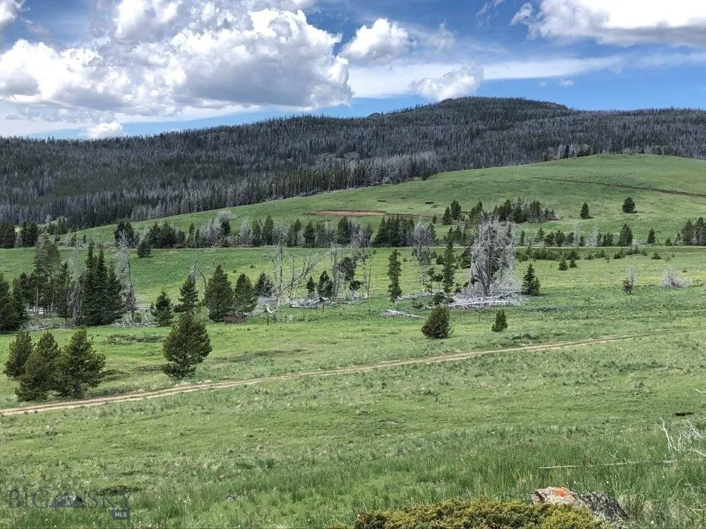 Tbd Indian Creek Road, Townsend, Montana 59604, Townsend, Montana 59604, ,Land,For Sale,Tbd Indian Creek Road, Townsend, Montana 59604,0,406164