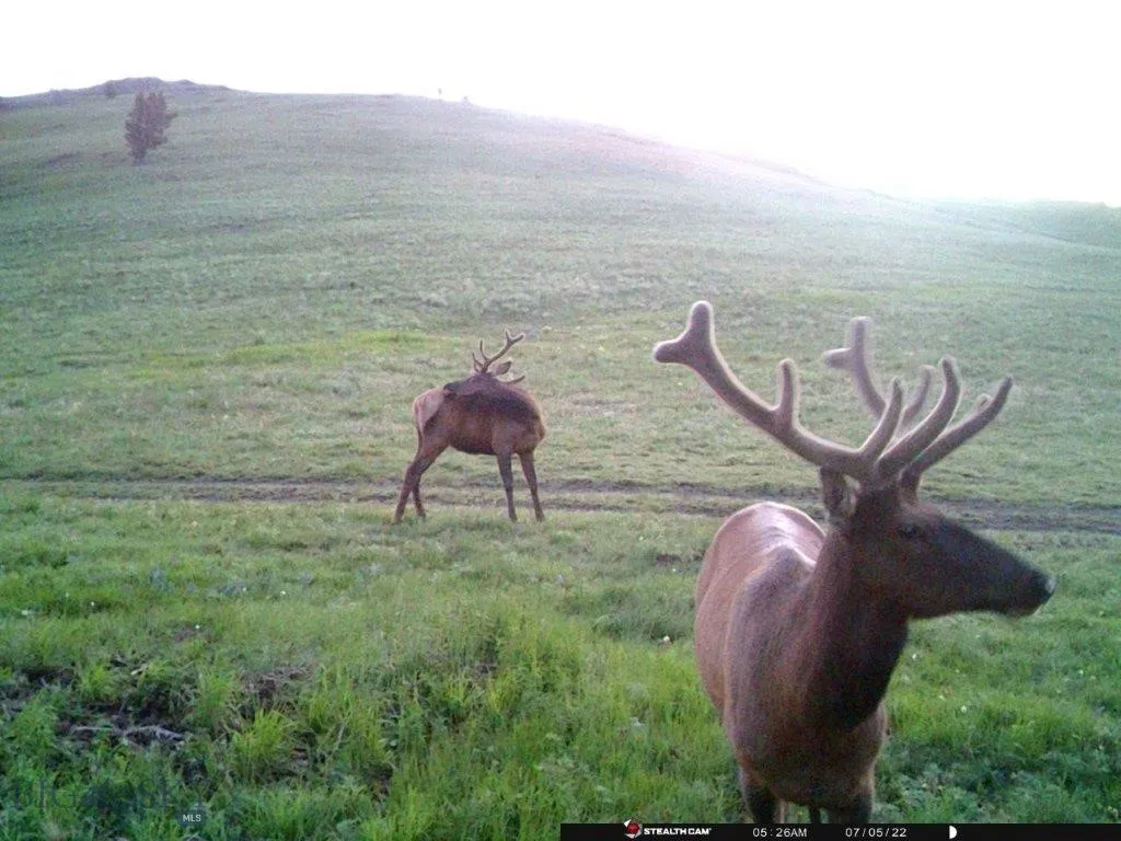 Tbd Indian Creek Road, Townsend, Montana 59604, Townsend, Montana 59604, ,Land,For Sale,Tbd Indian Creek Road, Townsend, Montana 59604,0,406164