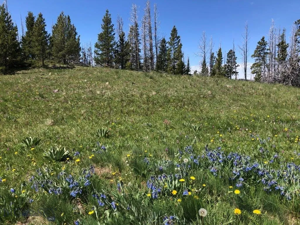 Tbd Indian Creek Road, Townsend, Montana 59604, Townsend, Montana 59604, ,Land,For Sale,Tbd Indian Creek Road, Townsend, Montana 59604,0,406164