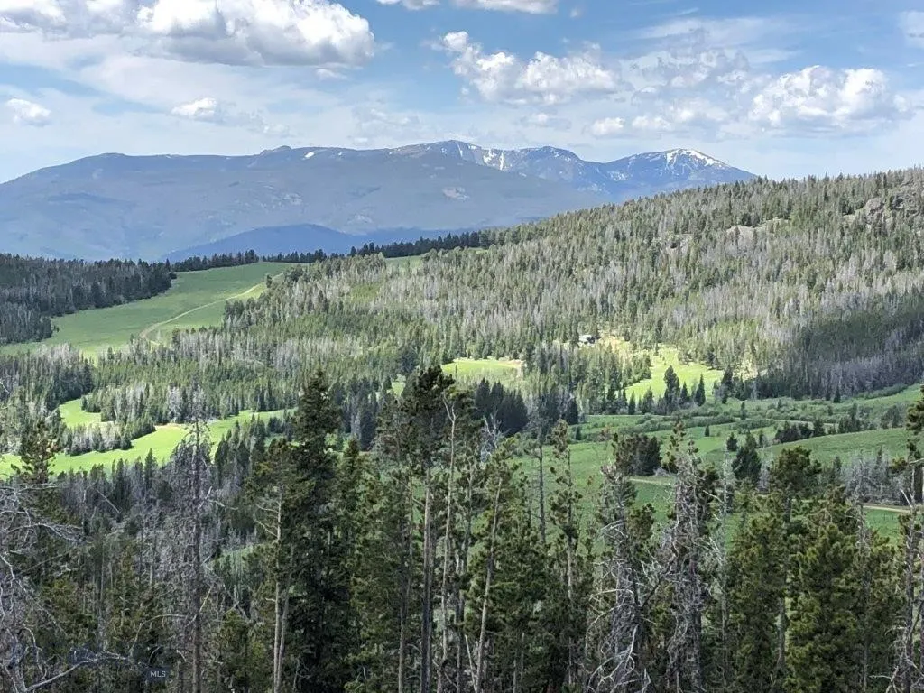 Tbd Indian Creek Road, Townsend, Montana 59604, Townsend, Montana 59604, ,Land,For Sale,Tbd Indian Creek Road, Townsend, Montana 59604,0,406164