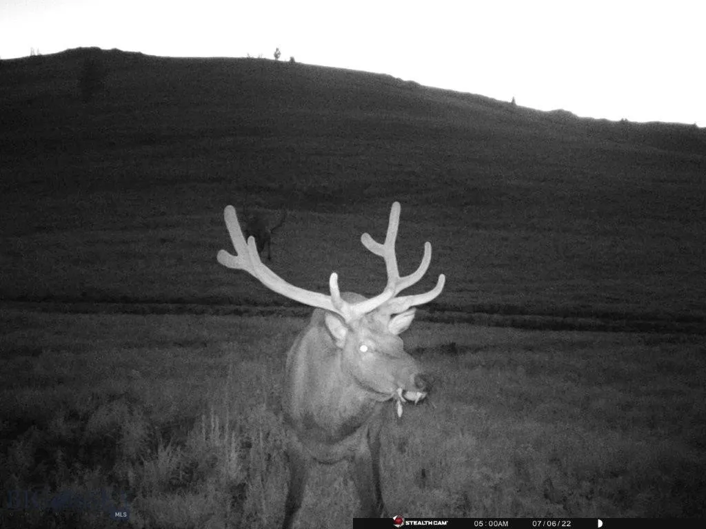 Tbd Indian Creek Road, Townsend, Montana 59604, Townsend, Montana 59604, ,Land,For Sale,Tbd Indian Creek Road, Townsend, Montana 59604,0,406164