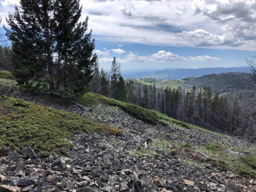 Tbd Indian Creek Road, Townsend, Montana 59604, Townsend, Montana 59604, ,Land,For Sale,Tbd Indian Creek Road, Townsend, Montana 59604,0,406164