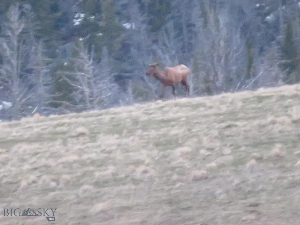 Tbd Indian Creek Road, Townsend, Montana 59604, Townsend, Montana 59604, ,Land,For Sale,Tbd Indian Creek Road, Townsend, Montana 59604,0,406164