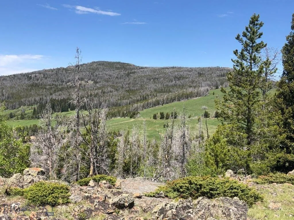 Tbd Indian Creek Road, Townsend, Montana 59604, Townsend, Montana 59604, ,Land,For Sale,Tbd Indian Creek Road, Townsend, Montana 59604,0,406164