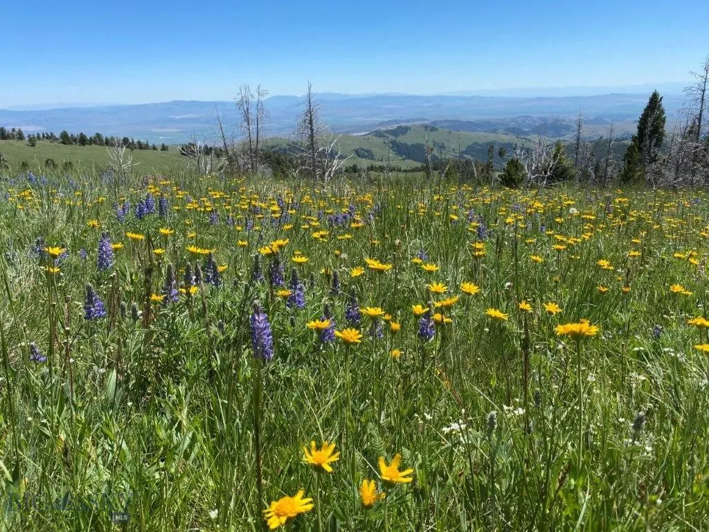 Tbd Indian Creek Road, Townsend, Montana 59604, Townsend, Montana 59604, ,Land,For Sale,Tbd Indian Creek Road, Townsend, Montana 59604,0,406164