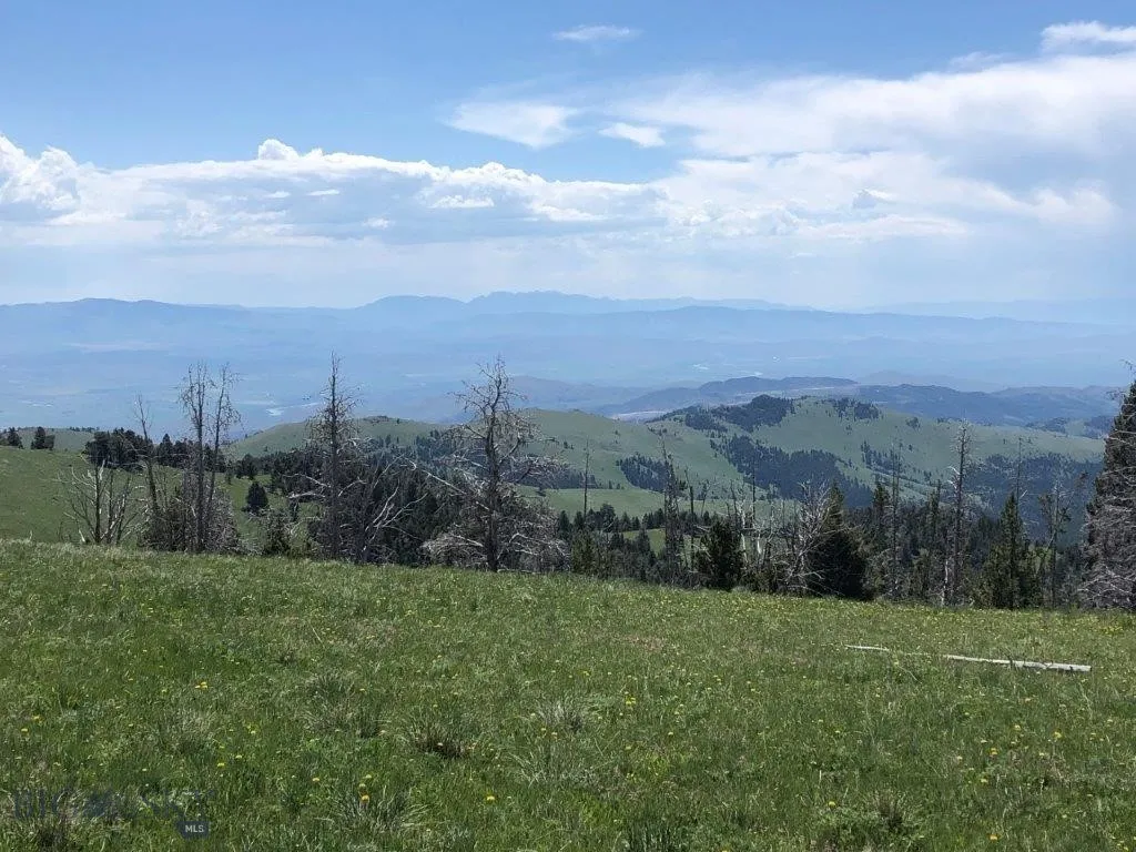 Tbd Indian Creek Road, Townsend, Montana 59604, Townsend, Montana 59604, ,Land,For Sale,Tbd Indian Creek Road, Townsend, Montana 59604,0,406164