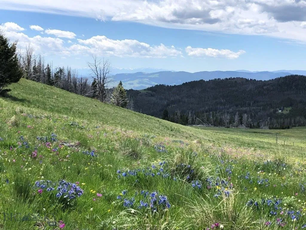 Tbd Indian Creek Road, Townsend, Montana 59604, Townsend, Montana 59604, ,Land,For Sale,Tbd Indian Creek Road, Townsend, Montana 59604,0,406164