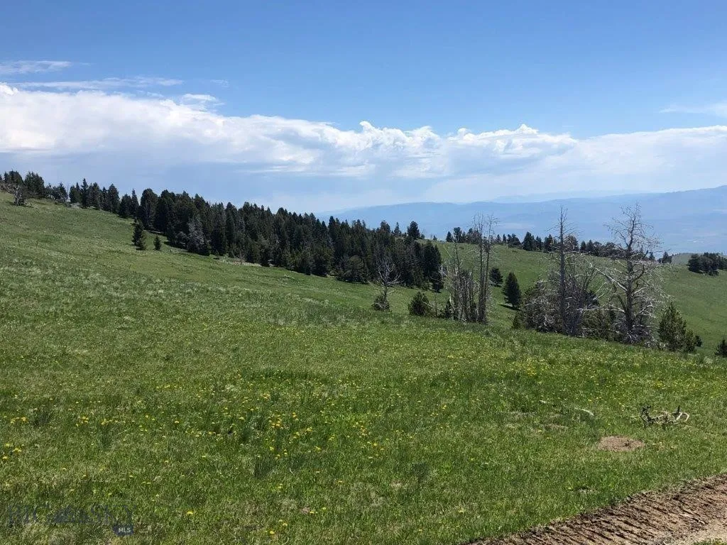 Tbd Indian Creek Road, Townsend, Montana 59604, Townsend, Montana 59604, ,Land,For Sale,Tbd Indian Creek Road, Townsend, Montana 59604,0,406164