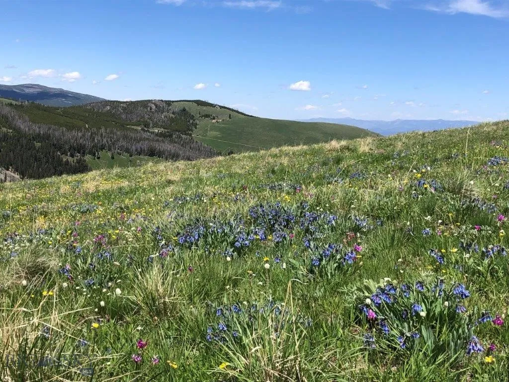 Tbd Indian Creek Road, Townsend, Montana 59604, Townsend, Montana 59604, ,Land,For Sale,Tbd Indian Creek Road, Townsend, Montana 59604,0,406164