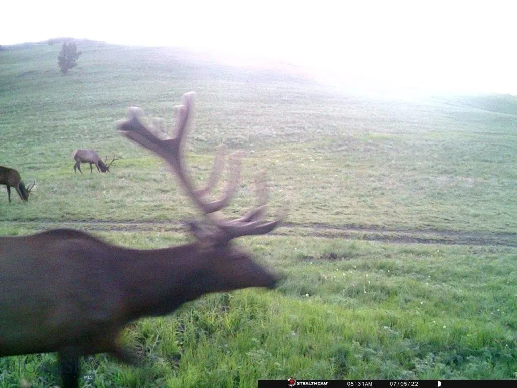 Tbd Indian Creek Road, Townsend, Montana 59604, Townsend, Montana 59604, ,Land,For Sale,Tbd Indian Creek Road, Townsend, Montana 59604,0,406164