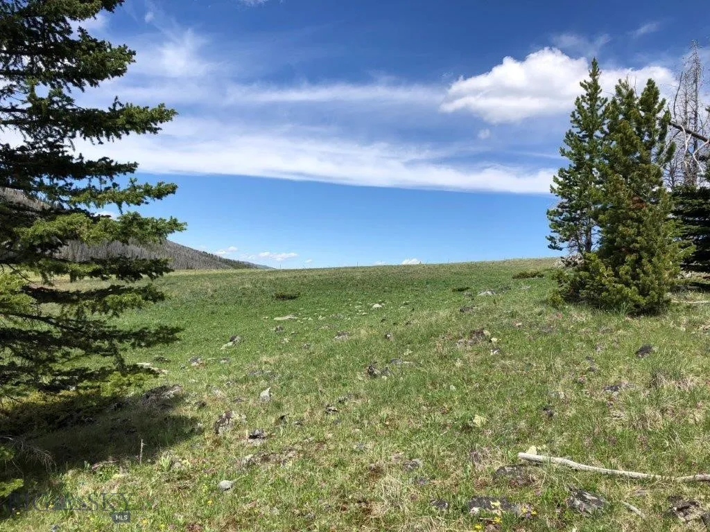 Tbd Indian Creek Road, Townsend, Montana 59604, Townsend, Montana 59604, ,Land,For Sale,Tbd Indian Creek Road, Townsend, Montana 59604,0,406164