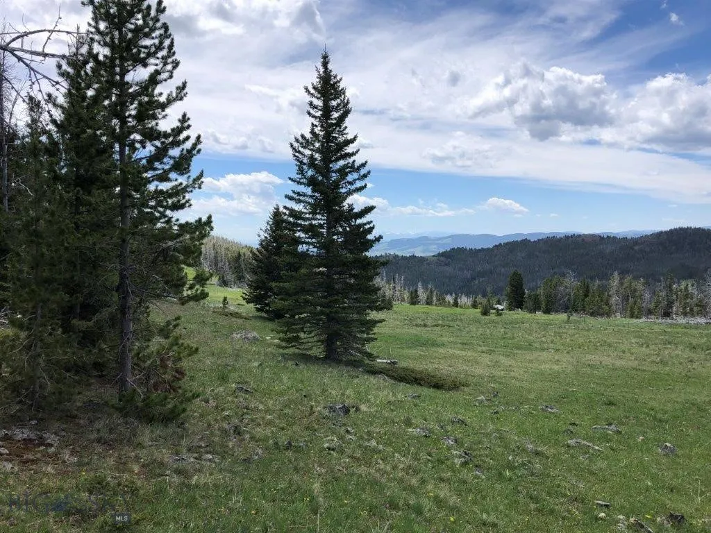 Tbd Indian Creek Road, Townsend, Montana 59604, Townsend, Montana 59604, ,Land,For Sale,Tbd Indian Creek Road, Townsend, Montana 59604,0,406164