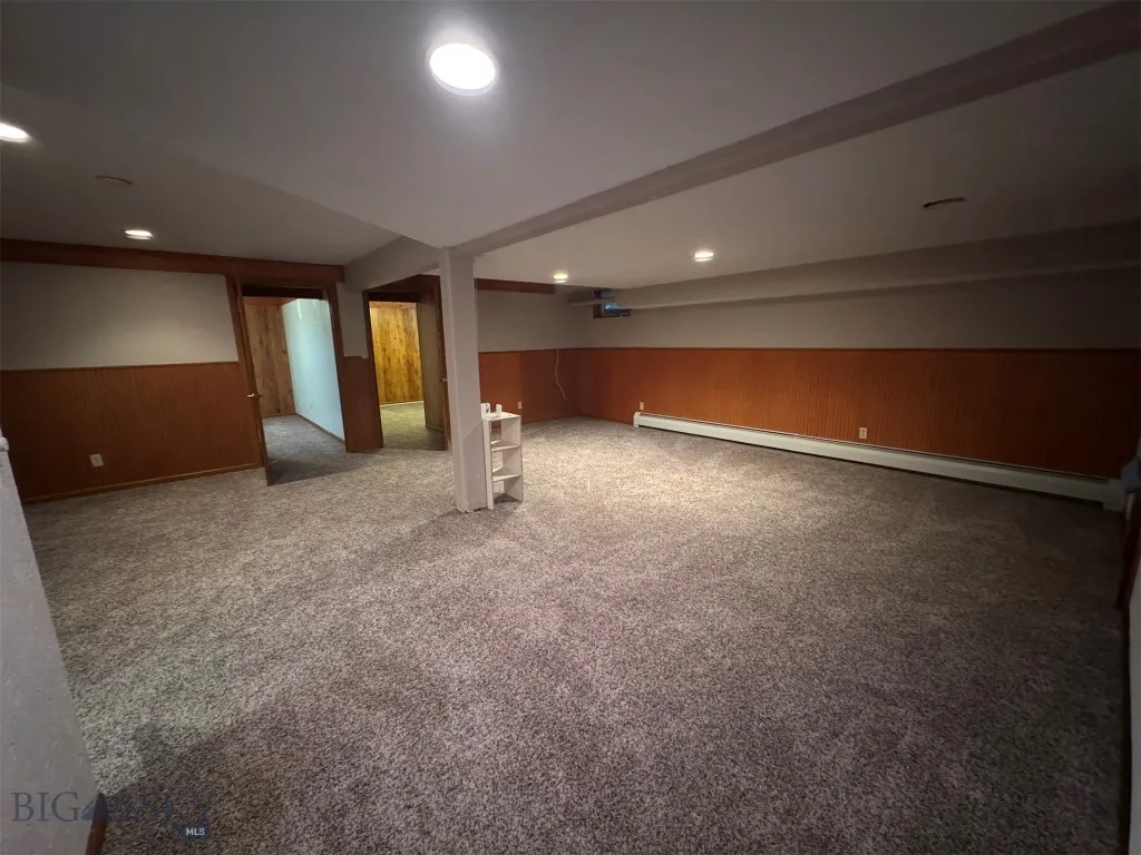Basement living area