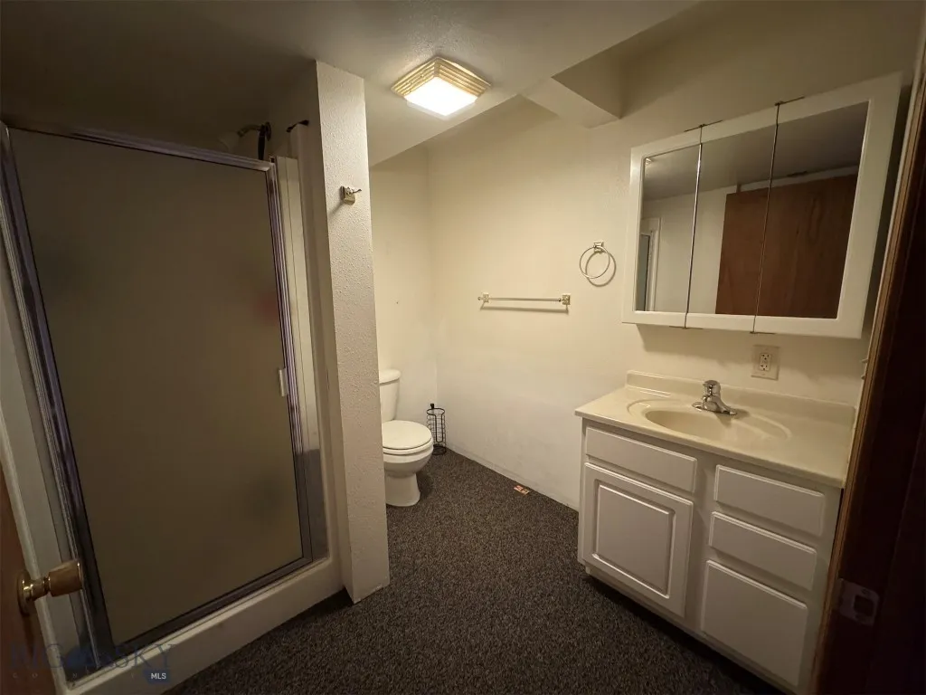 Bathroom in basement