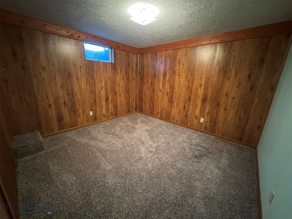 Basement bedroom #2