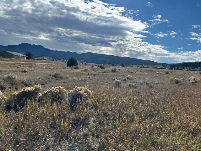 Tract 2 Terra Verde Dr, Butte, Montana 59701, Butte, Montana 59701, ,Land,For Sale,Tract 2 Terra Verde Dr, Butte, Montana 59701,0,406177