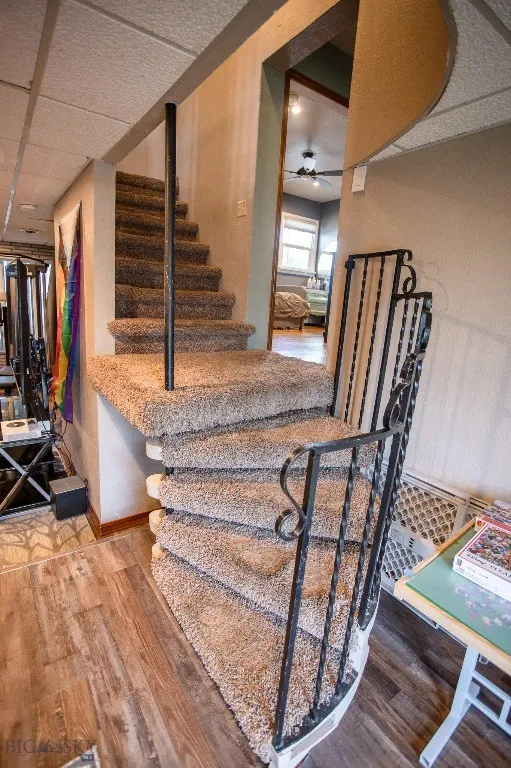2925 Bayard, Butte, Montana 59701, Butte, Montana 59701, 4 Bedrooms Bedrooms, ,3 BathroomsBathrooms,Residential,For Sale,2925 Bayard, Butte, Montana 59701,0,406188