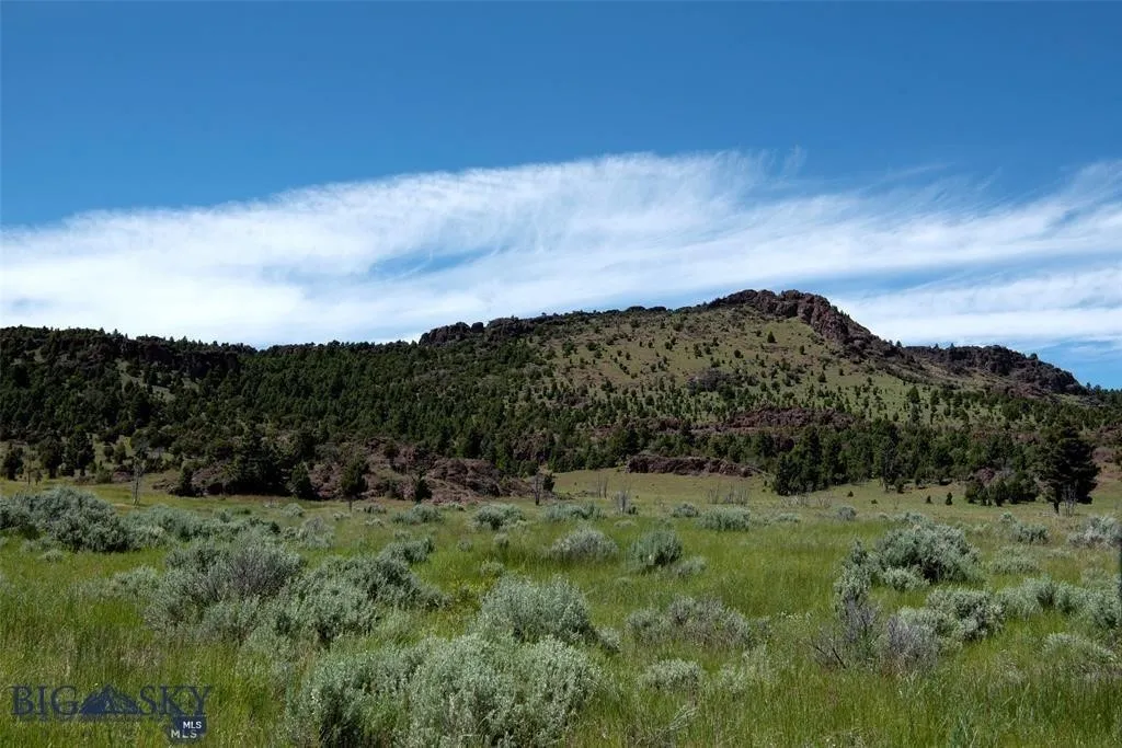 Tbd Lookout Trail, Ramsay, Montana 59701, Ramsay, Montana 59701, ,Farm,For Sale,Tbd Lookout Trail, Ramsay, Montana 59701,0,405045