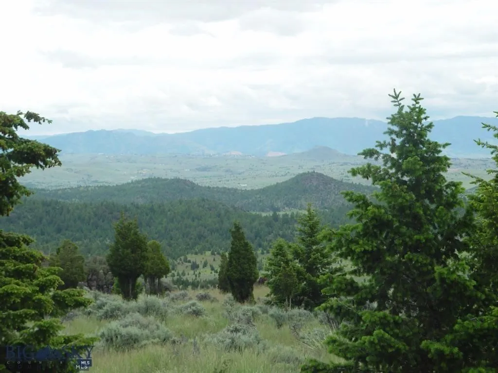 Tbd Lookout Trail, Ramsay, Montana 59701, Ramsay, Montana 59701, ,Farm,For Sale,Tbd Lookout Trail, Ramsay, Montana 59701,0,405045