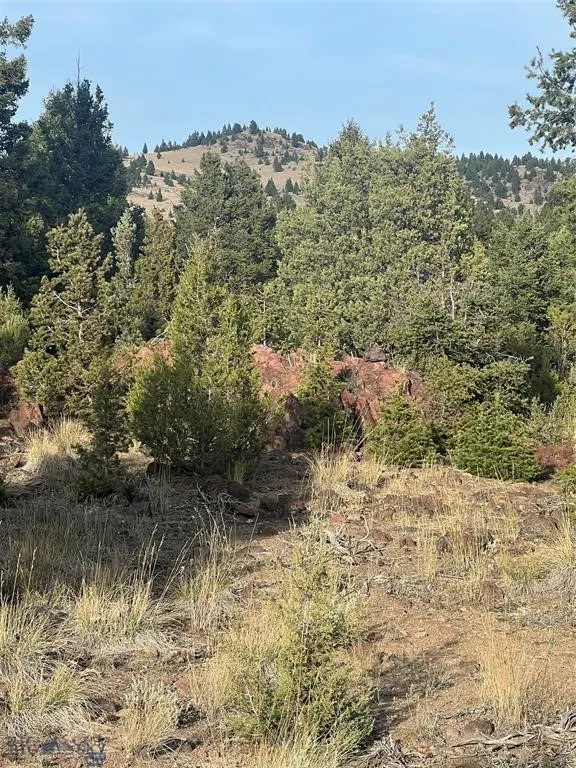 Tbd Lookout Trail, Ramsay, Montana 59701, Ramsay, Montana 59701, ,Farm,For Sale,Tbd Lookout Trail, Ramsay, Montana 59701,0,405045