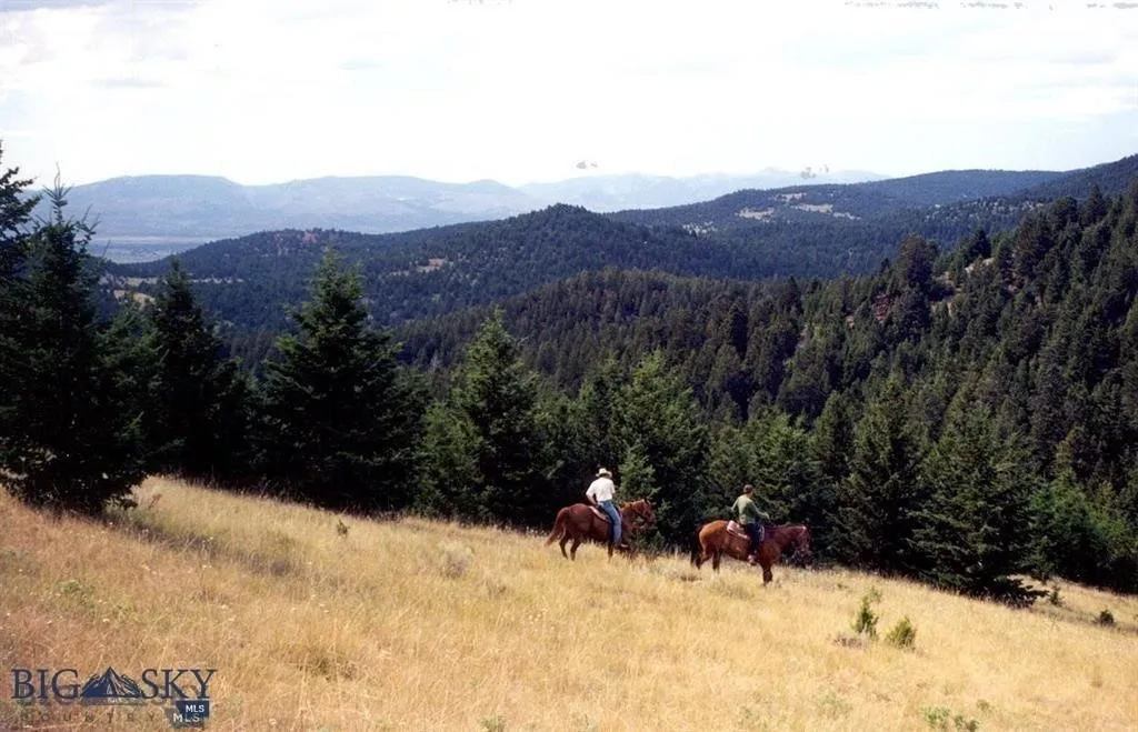 Tbd Lookout Trail, Ramsay, Montana 59701, Ramsay, Montana 59701, ,Farm,For Sale,Tbd Lookout Trail, Ramsay, Montana 59701,0,405045