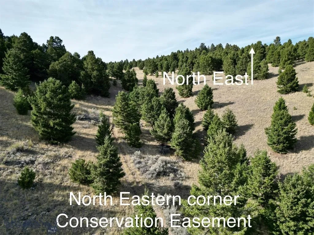 Tbd Lookout Trail, Ramsay, Montana 59701, Ramsay, Montana 59701, ,Farm,For Sale,Tbd Lookout Trail, Ramsay, Montana 59701,0,405045