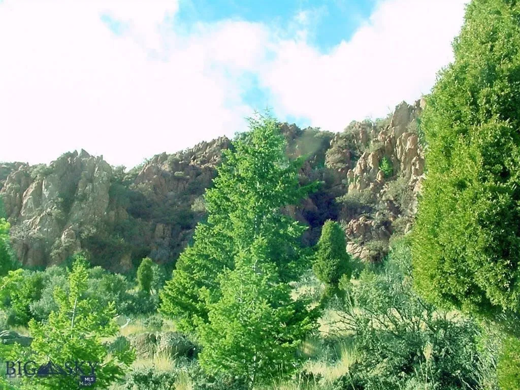 Tbd Lookout Trail, Ramsay, Montana 59701, Ramsay, Montana 59701, ,Farm,For Sale,Tbd Lookout Trail, Ramsay, Montana 59701,0,405045