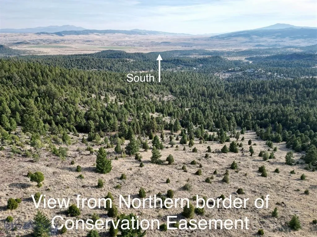 Tbd Lookout Trail, Ramsay, Montana 59701, Ramsay, Montana 59701, ,Farm,For Sale,Tbd Lookout Trail, Ramsay, Montana 59701,0,405045