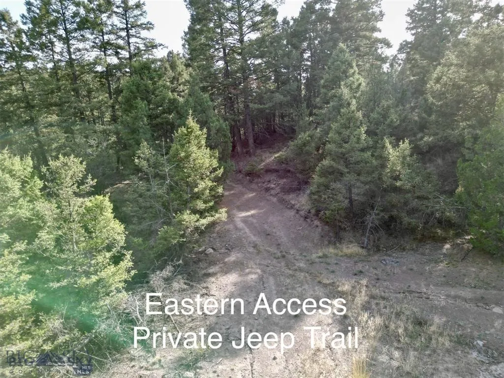 Tbd Lookout Trail, Ramsay, Montana 59701, Ramsay, Montana 59701, ,Farm,For Sale,Tbd Lookout Trail, Ramsay, Montana 59701,0,405045