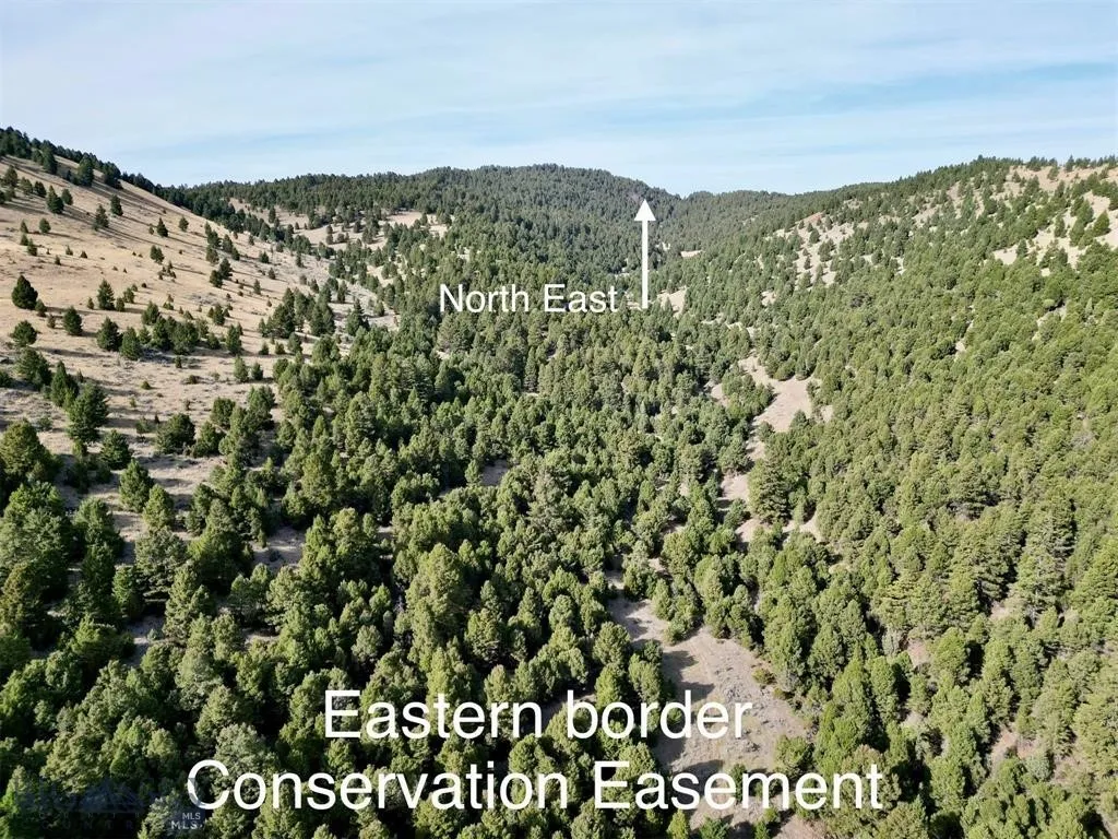 Tbd Lookout Trail, Ramsay, Montana 59701, Ramsay, Montana 59701, ,Farm,For Sale,Tbd Lookout Trail, Ramsay, Montana 59701,0,405045