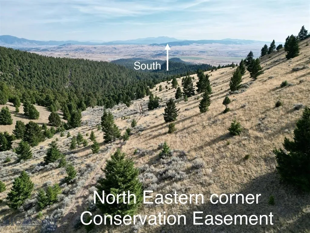 Tbd Lookout Trail, Ramsay, Montana 59701, Ramsay, Montana 59701, ,Farm,For Sale,Tbd Lookout Trail, Ramsay, Montana 59701,0,405045