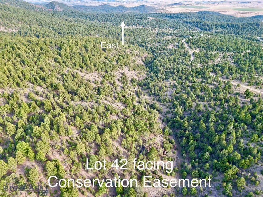 Tbd Lookout Trail, Ramsay, Montana 59701, Ramsay, Montana 59701, ,Farm,For Sale,Tbd Lookout Trail, Ramsay, Montana 59701,0,405045