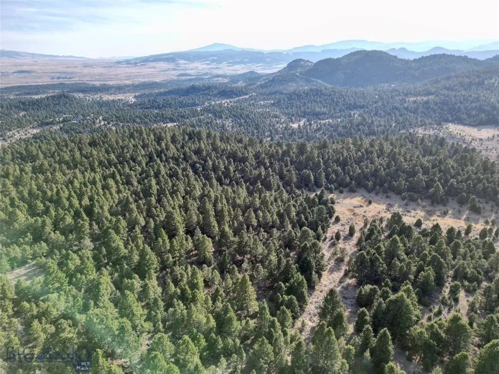 Tbd Lookout Trail, Ramsay, Montana 59701, Ramsay, Montana 59701, ,Farm,For Sale,Tbd Lookout Trail, Ramsay, Montana 59701,0,405045