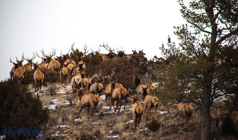 Tbd Lookout Trail, Ramsay, Montana 59701, Ramsay, Montana 59701, ,Farm,For Sale,Tbd Lookout Trail, Ramsay, Montana 59701,0,405045
