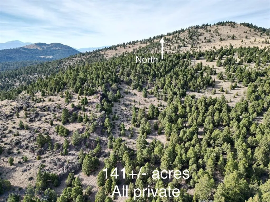 Tbd Lookout Trail, Ramsay, Montana 59701, Ramsay, Montana 59701, ,Farm,For Sale,Tbd Lookout Trail, Ramsay, Montana 59701,0,405045