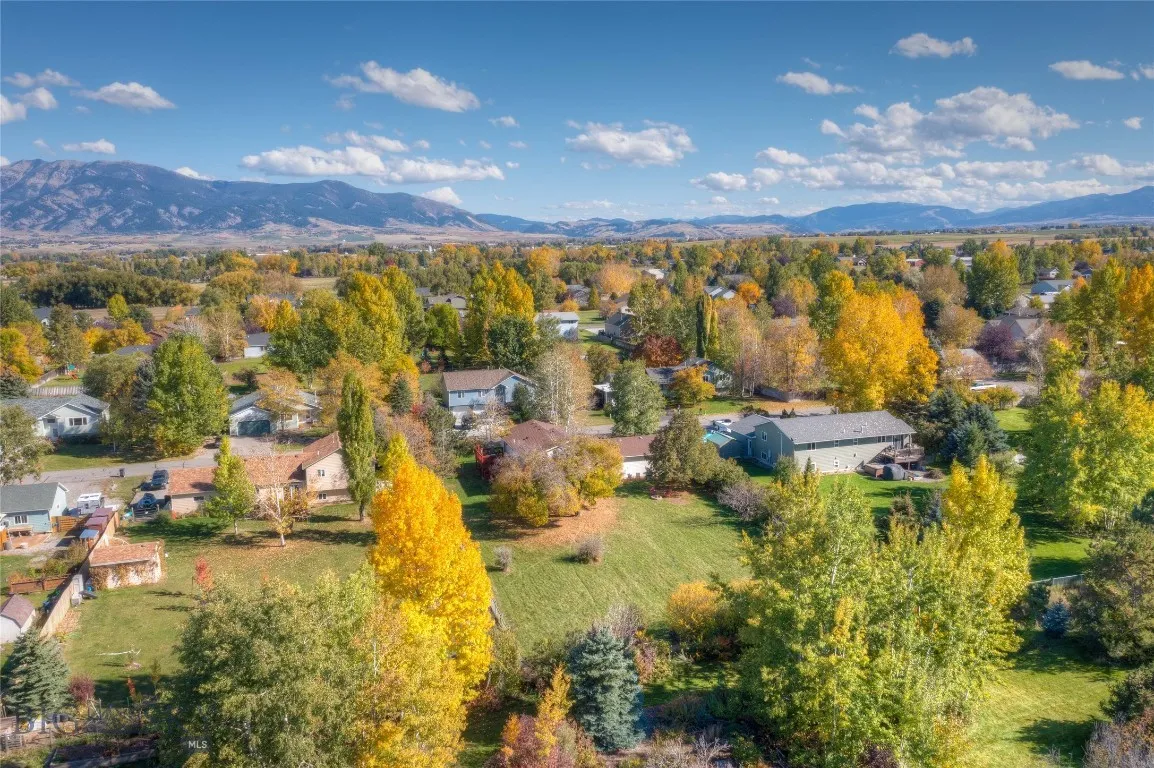Aerial view back