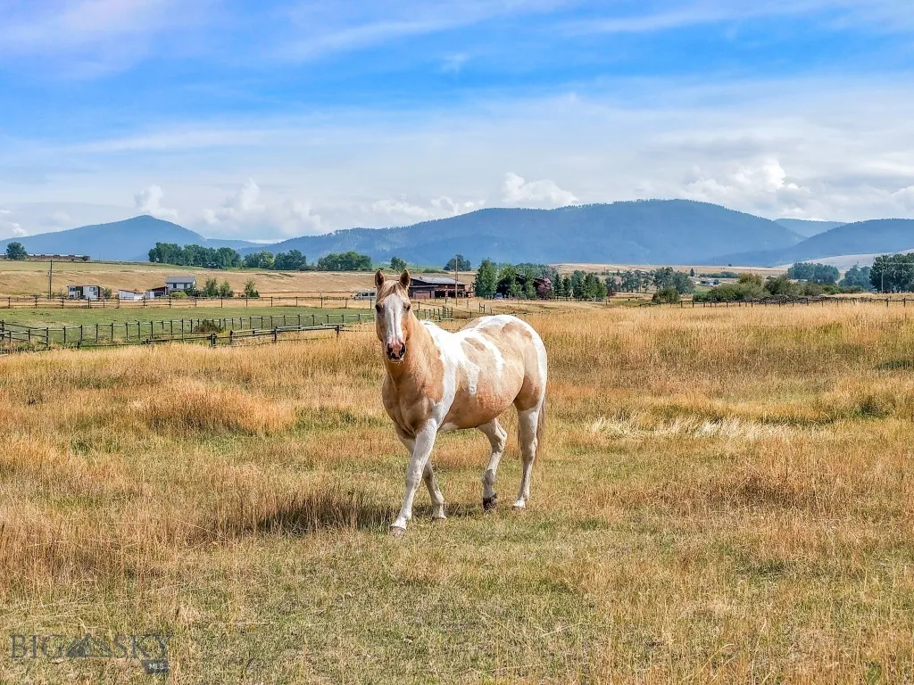 11400 Gooch Hill Road, Gallatin Gateway, Montana 5, Gallatin Gateway, Montana 59730, 3 Bedrooms Bedrooms, ,2 BathroomsBathrooms,Residential,For Sale,11400 Gooch Hill Road, Gallatin Gateway, Montana 5,0,405487
