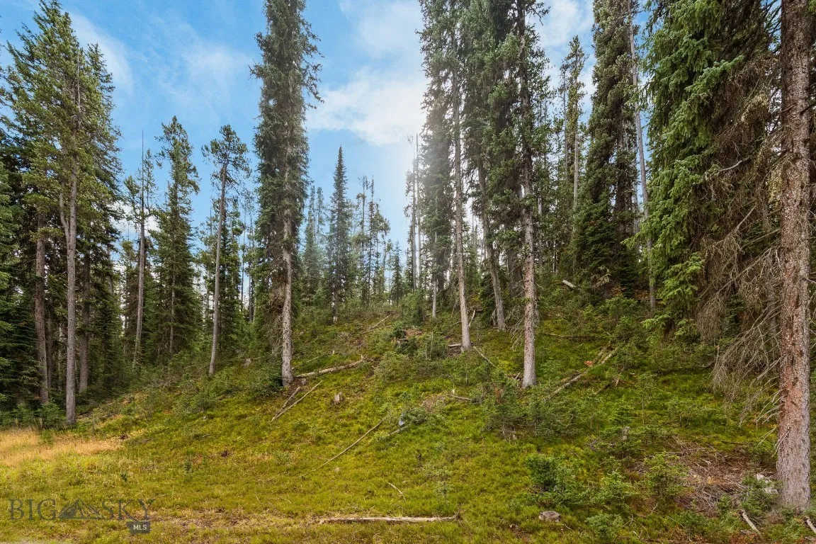 708 Us Highway 212 W, Cooke City, Montana 59020, Cooke City, Montana 59020, ,Residential Income,For Sale,708 Us Highway 212 W, Cooke City, Montana 59020,0,406244