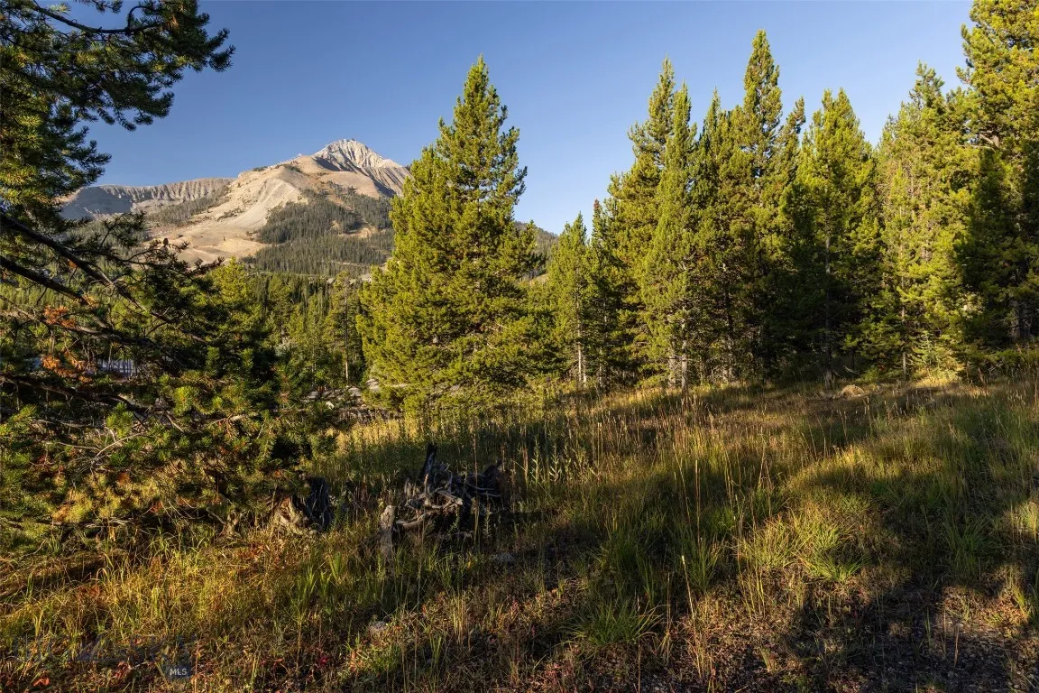 Tbd Little Wolf, Big Sky, Montana 59716, Big Sky, Montana 59716, ,Land,For Sale,Tbd Little Wolf, Big Sky, Montana 59716,0,406124