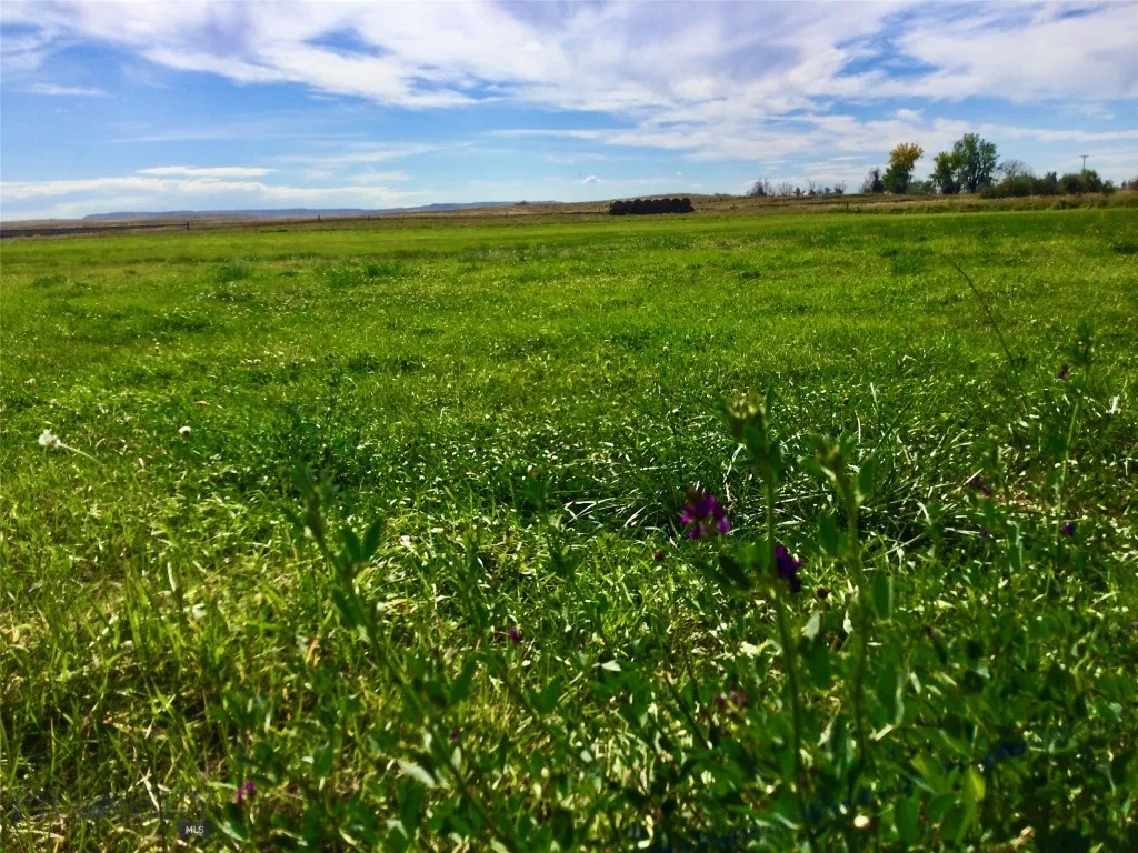 2408 E I Road, Other, Montana 59006, Other, Montana 59006, ,Land,For Sale,2408 E I Road, Other, Montana 59006,0,406263