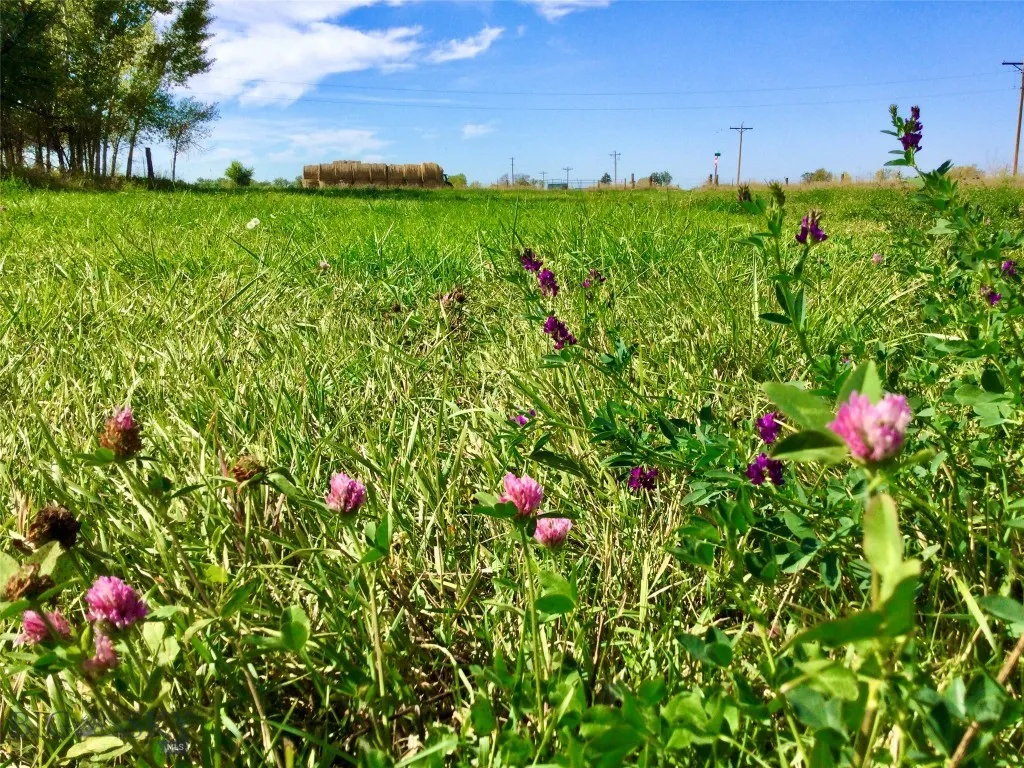 2408 E I Road, Other, Montana 59006, Other, Montana 59006, ,Land,For Sale,2408 E I Road, Other, Montana 59006,0,406263