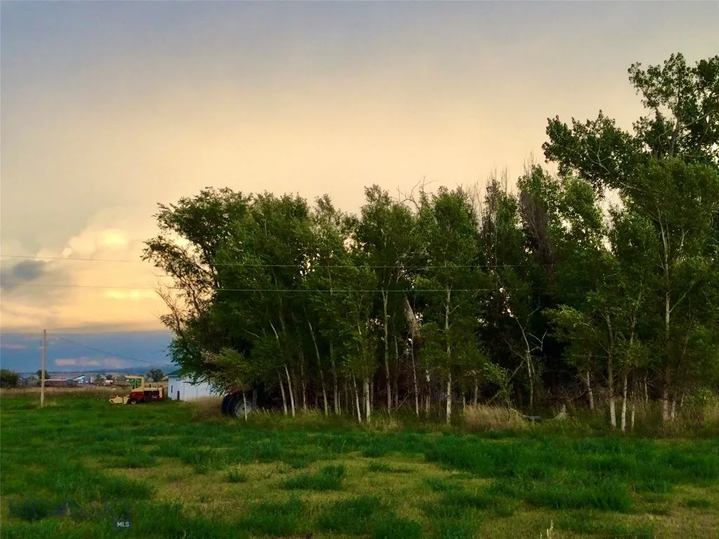 2408 E I Road, Other, Montana 59006, Other, Montana 59006, ,Land,For Sale,2408 E I Road, Other, Montana 59006,0,406263
