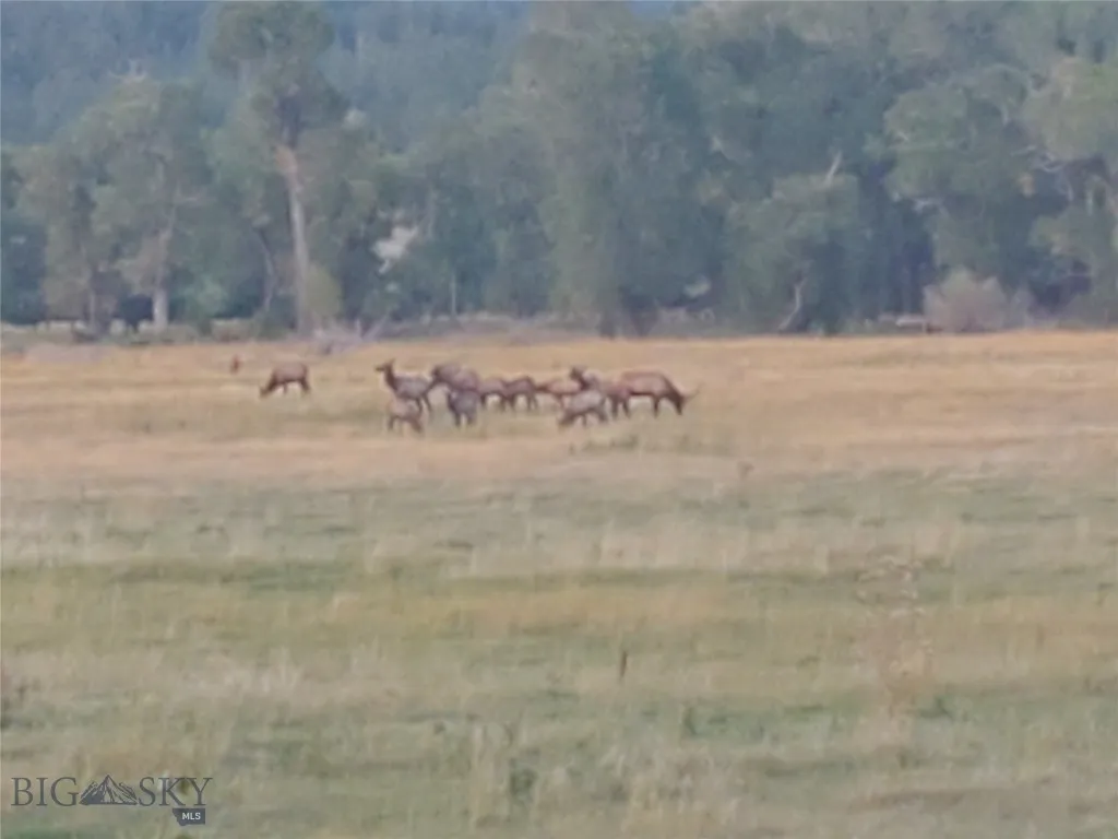 Tbd Frontage Rd, Reed Point, Montana 59069, Reed Point, Montana 59069, ,Land,For Sale,Tbd Frontage Rd, Reed Point, Montana 59069,0,406276