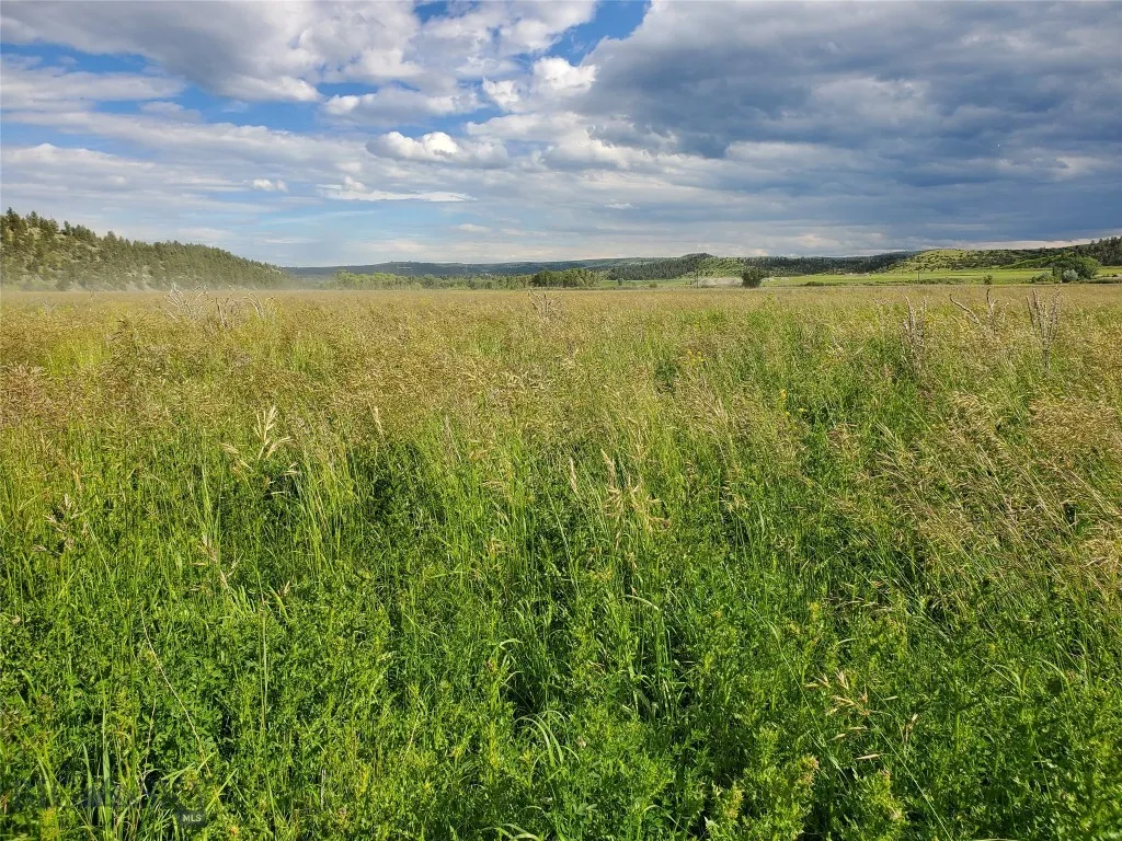 Tbd Frontage Rd, Reed Point, Montana 59069, Reed Point, Montana 59069, ,Land,For Sale,Tbd Frontage Rd, Reed Point, Montana 59069,0,406276