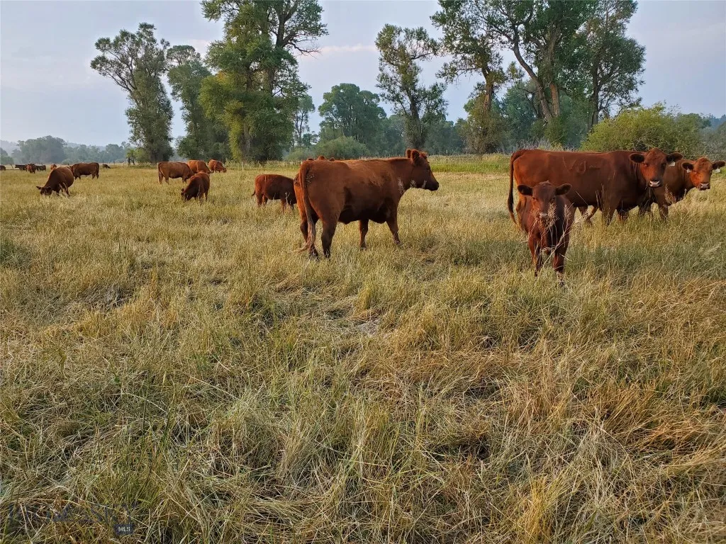 Tbd Frontage Rd, Reed Point, Montana 59069, Reed Point, Montana 59069, ,Land,For Sale,Tbd Frontage Rd, Reed Point, Montana 59069,0,406276