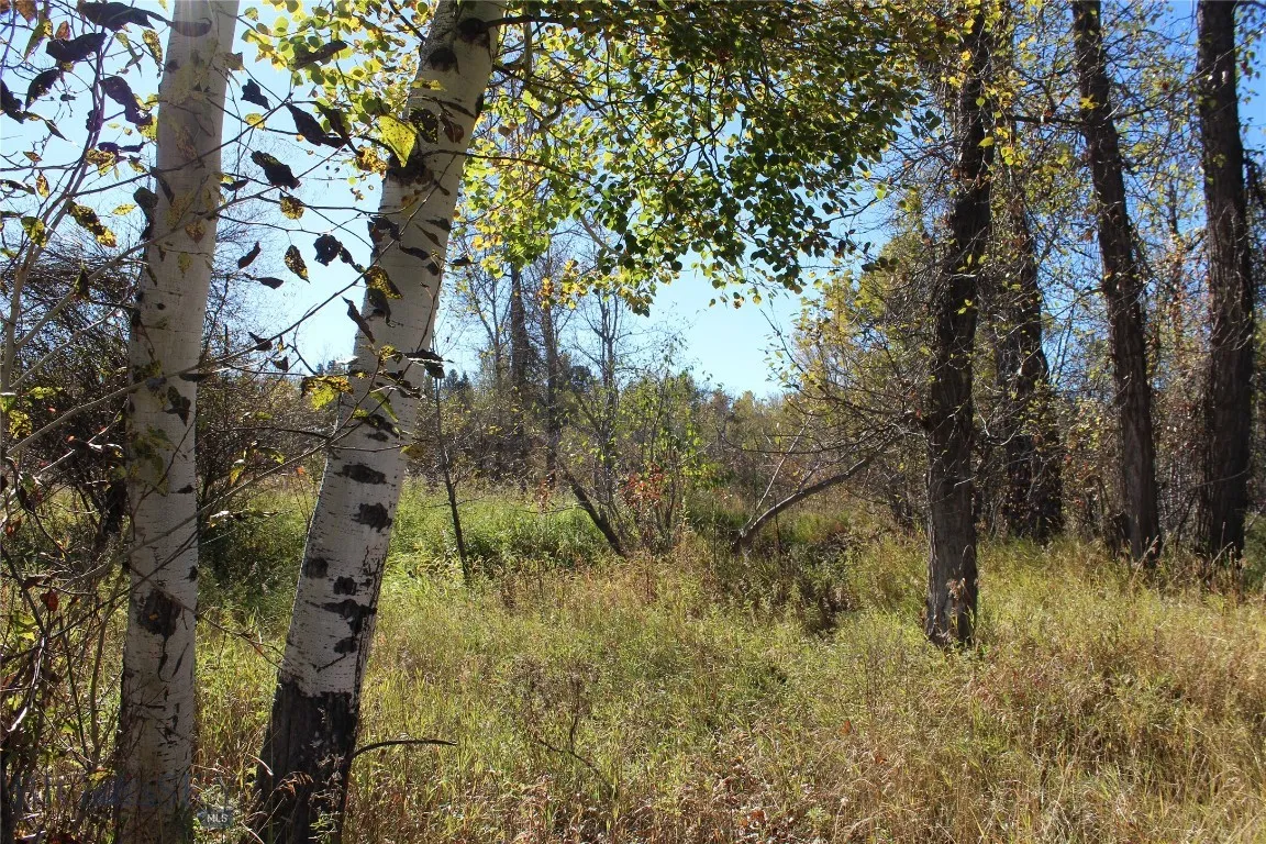 61 Rocky Creek Lane, Clyde Park, Montana 59047, Clyde Park, Montana 59047, ,Land,For Sale,61 Rocky Creek Lane, Clyde Park, Montana 59047,0,406313