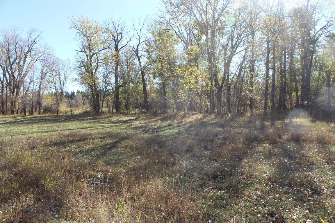 61 Rocky Creek Lane, Clyde Park, Montana 59047, Clyde Park, Montana 59047, ,Land,For Sale,61 Rocky Creek Lane, Clyde Park, Montana 59047,0,406313